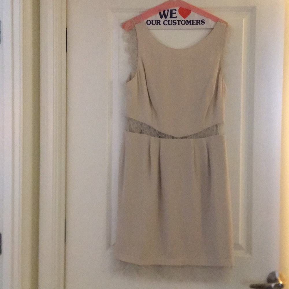 BCBG champagne lace spring cocktail dress